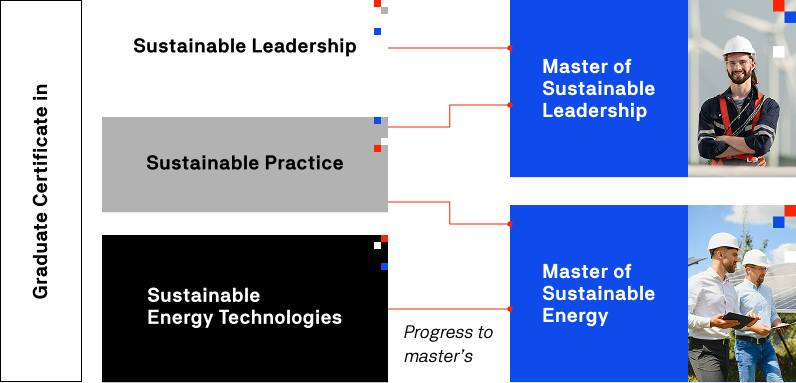 Image of a logo for the Master of Sustainable Leadership program, featuring green elements symbolizing sustainability and leadership.
